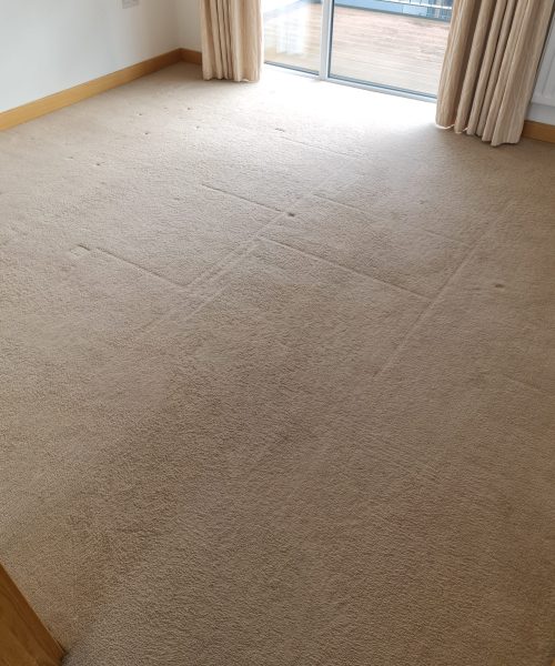 clean lounge carpet - Skyline Cleaning clean lounge carpet - Skyline Cleaning
